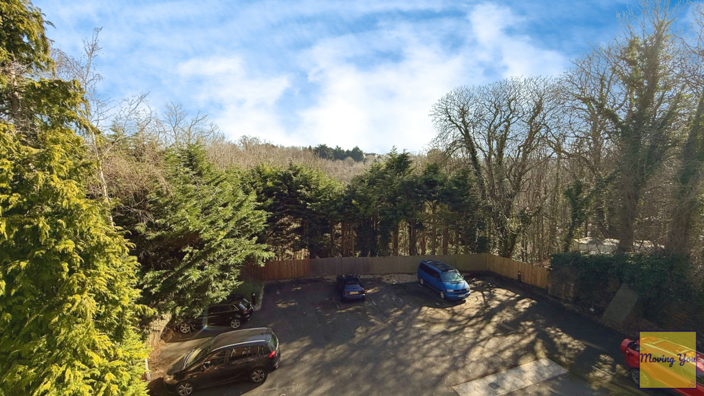 Car park &amp; view of woodland