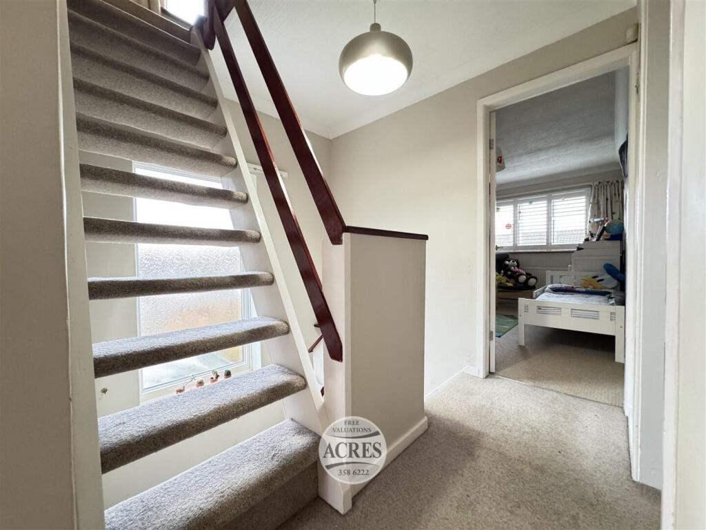 IMG_8677 (Large).jpg