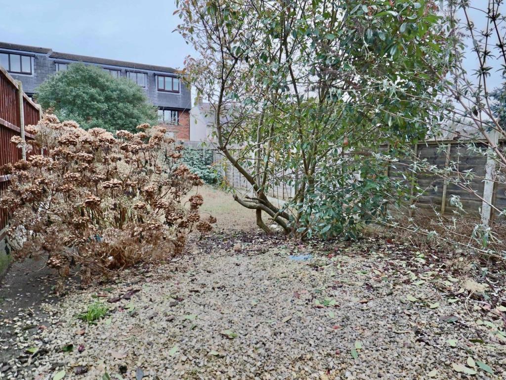 garden.jpg
