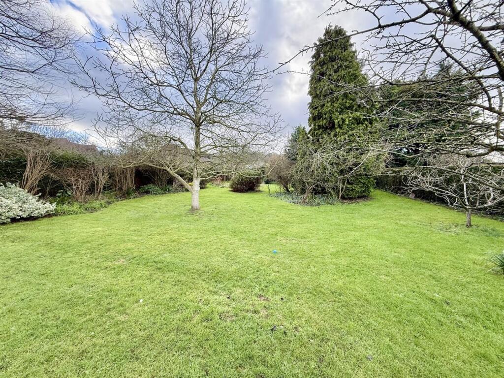 garden1.jpg