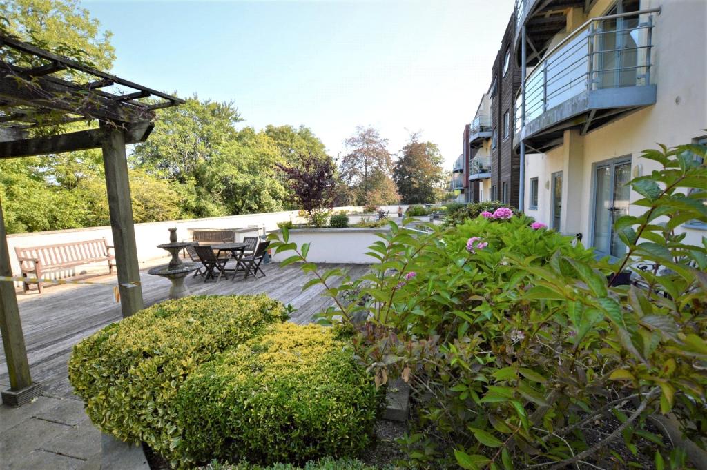 Communal Garden