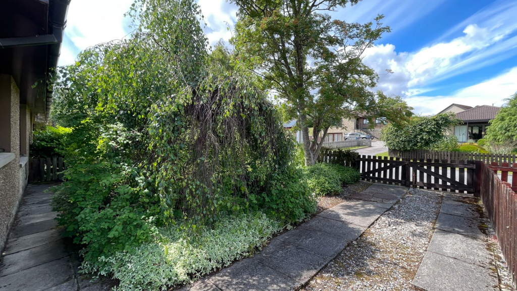 FRONT GARDEN &amp; DRIVEWAY