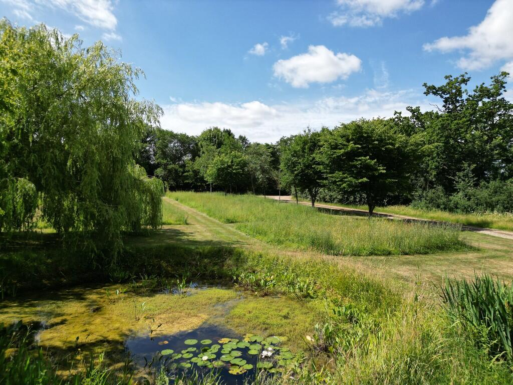 pond