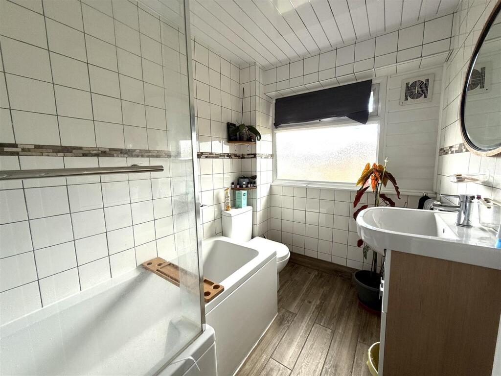 48 catking bath.jpeg