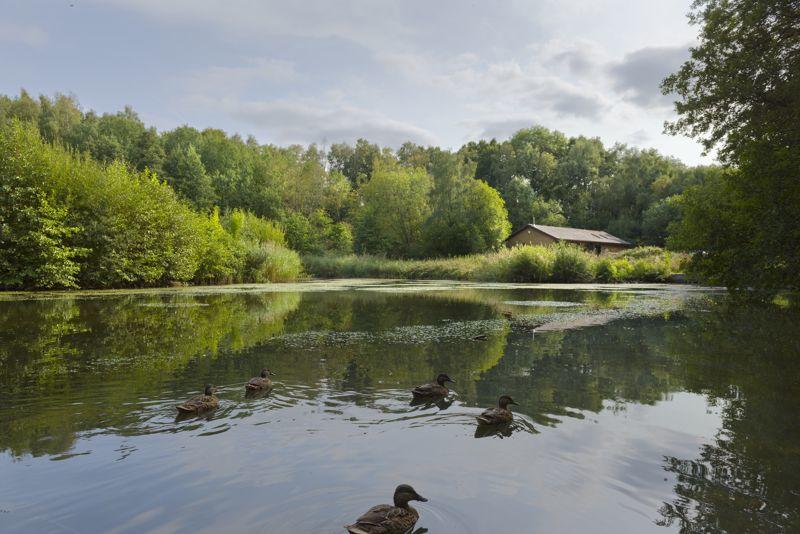 Nearby lake 