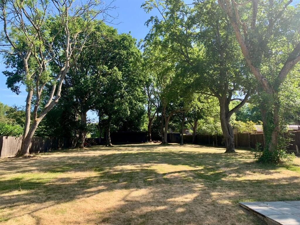 garden 2.jpg