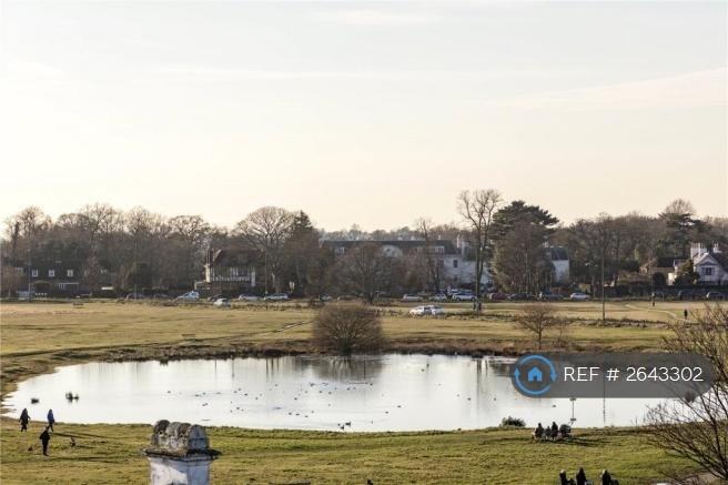 View Of Wimbledon Common