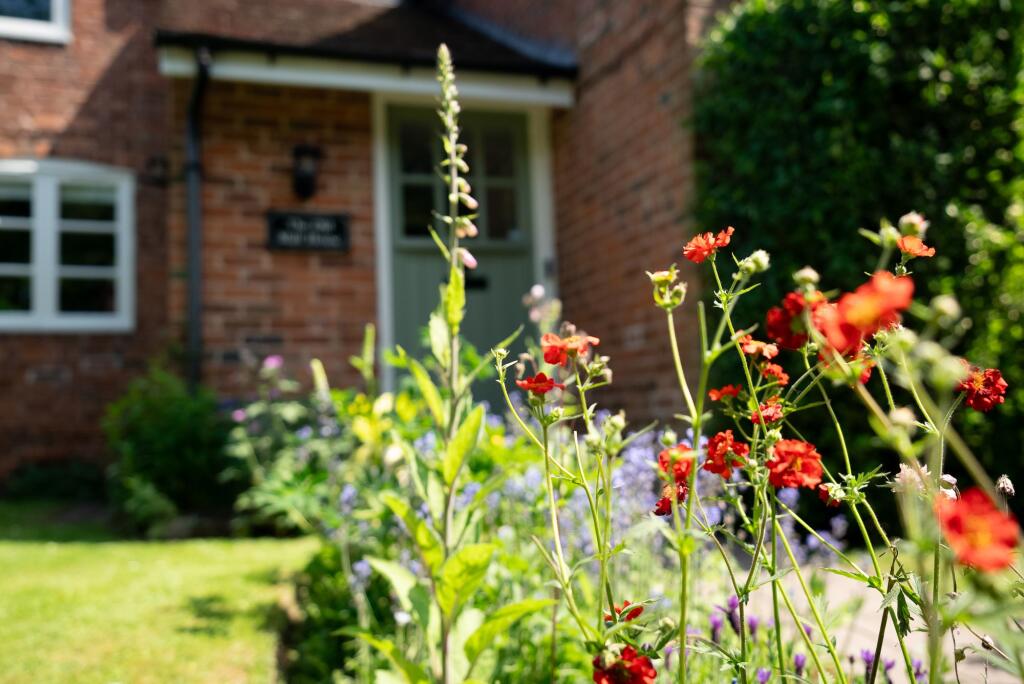 Front Garden