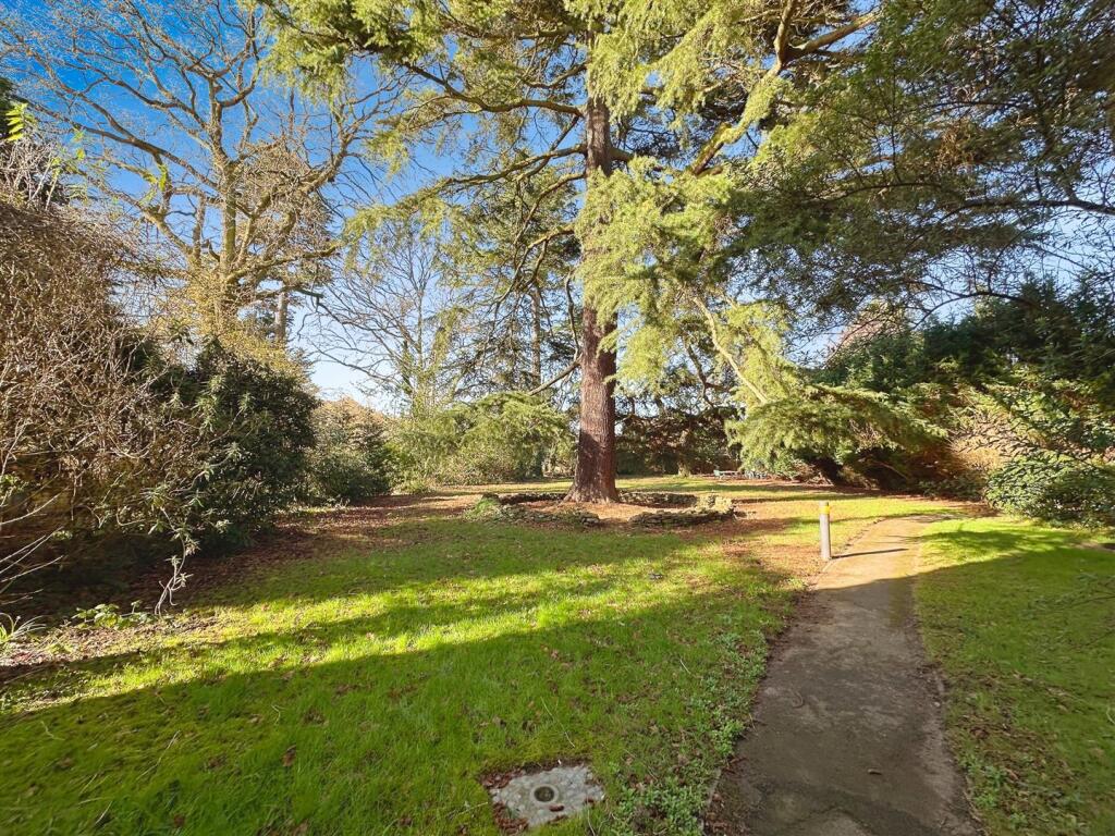 9a95bc9d-image_picker_5F932F97-F07D-4727-AEA8-CB75