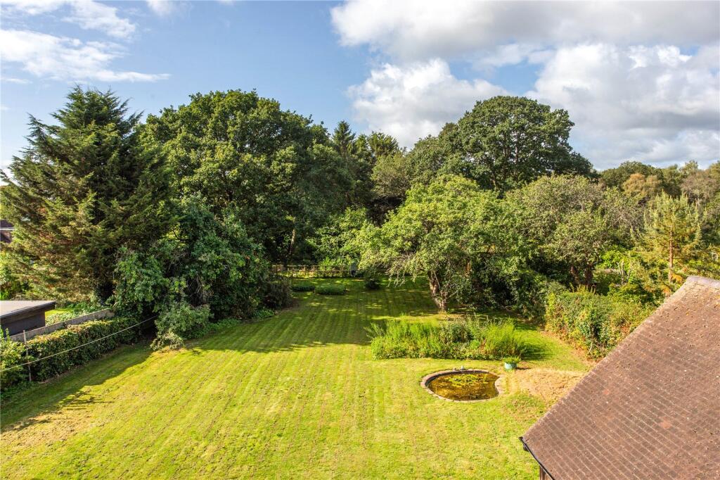 View Of Garden