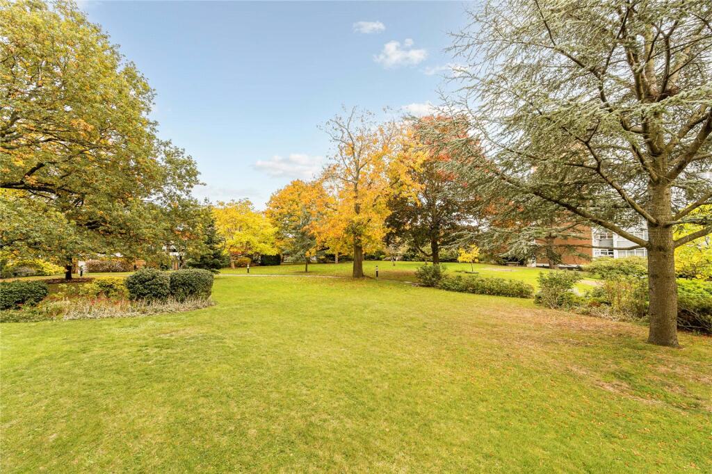 Communal Garden