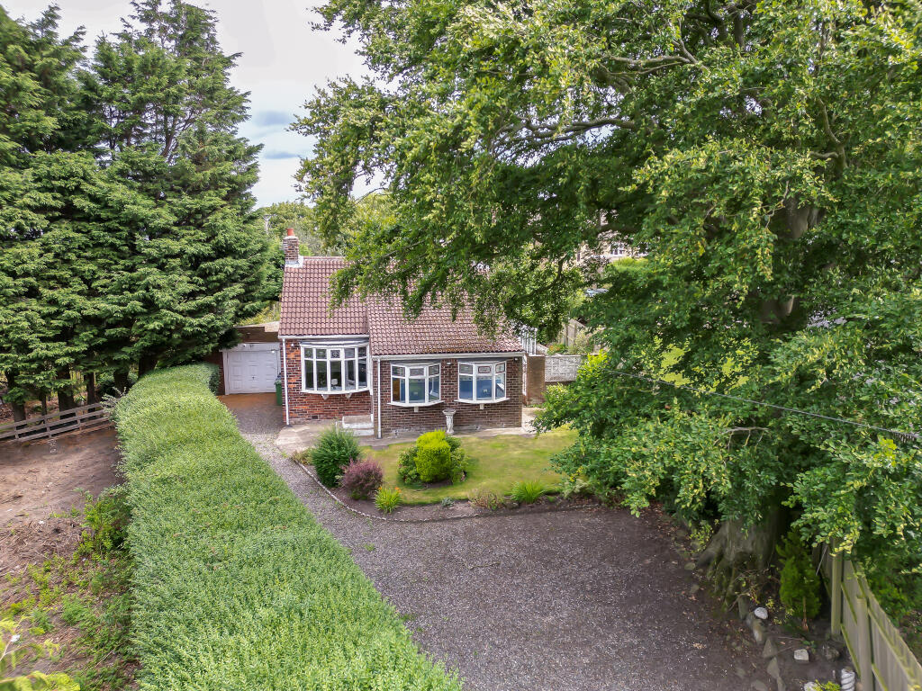 DJI 0310 T202507310831.jpg