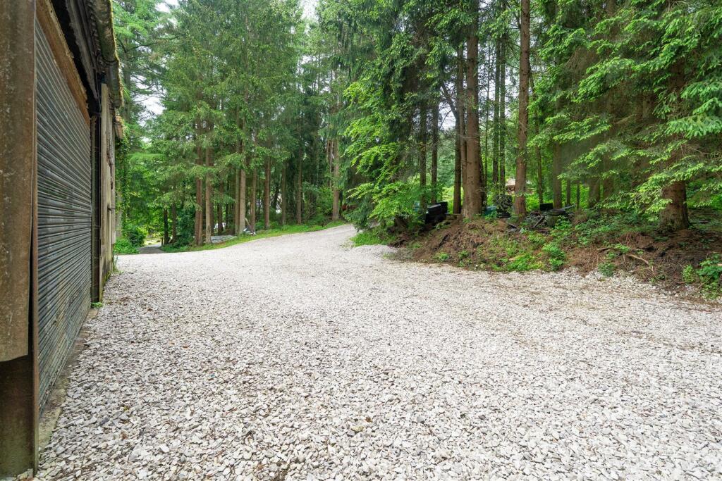 Garden extended-4.jpg