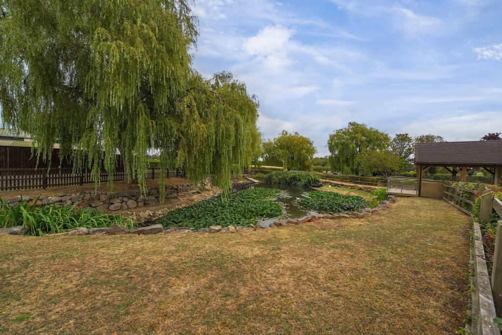 Pond