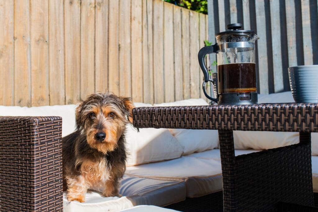 Award-winning Media team on EVERY Listing_14