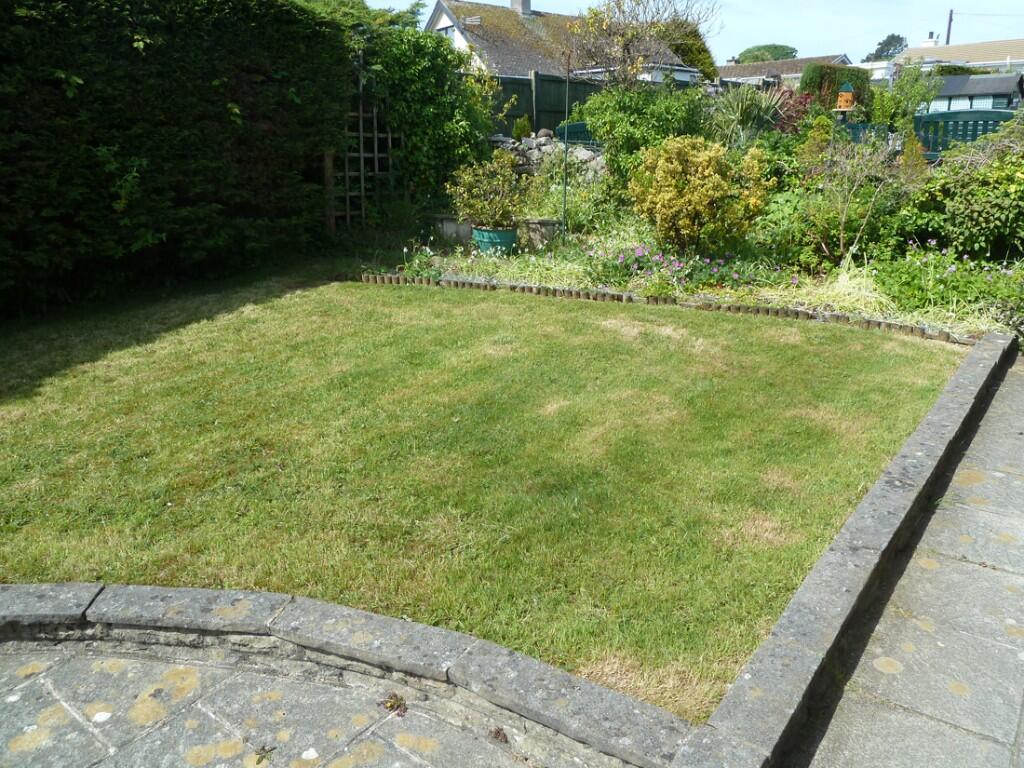 Sunny rear garden