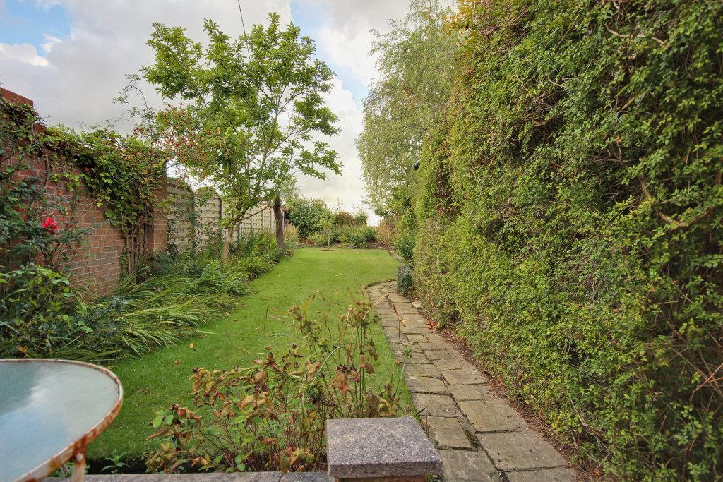 Lovely Garden