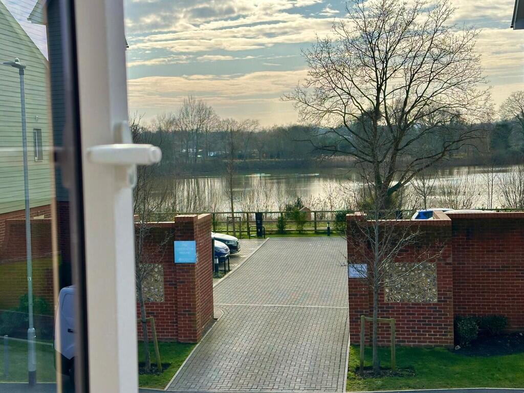 the kingfisher vi...