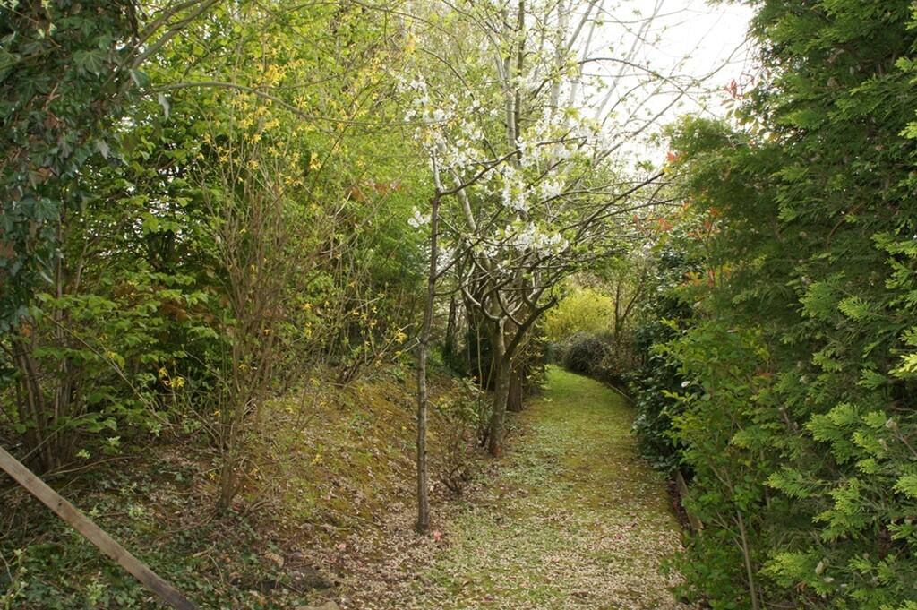 Woodland Walk are...