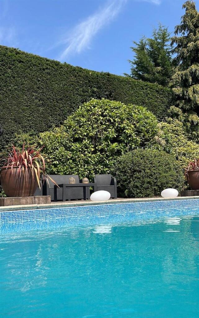 Vendor Garden Photos_11.JPG