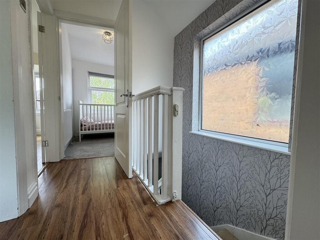 IMG_4557 (Large).JPG