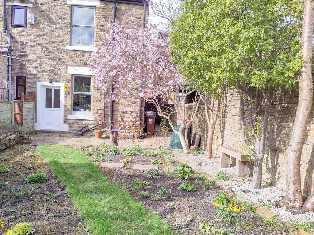 IMG_20250329_1034...