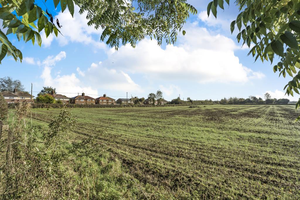 Field View