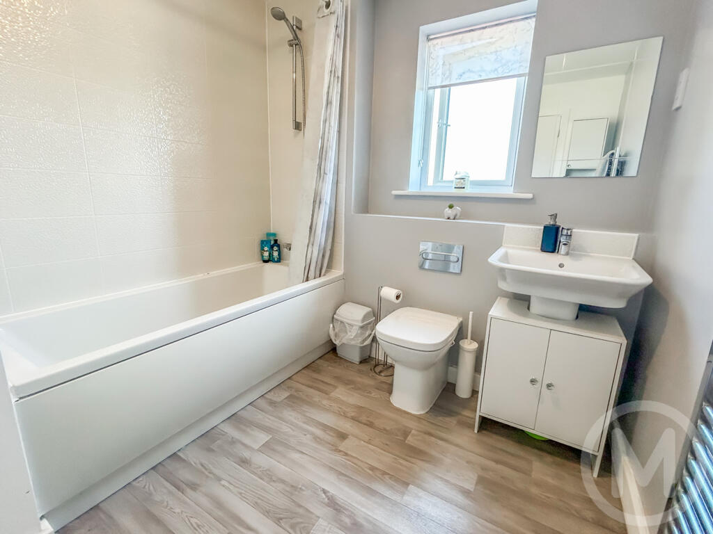 johnston FFF (1).JPG