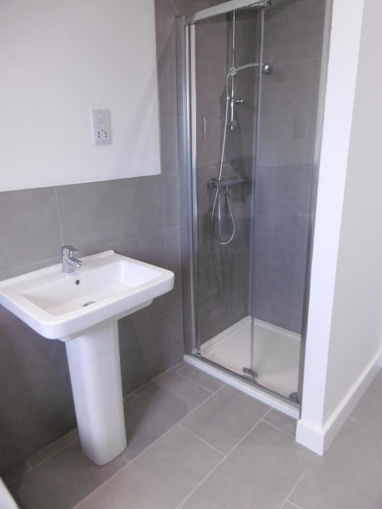 family bathroom seperate shower cubical
