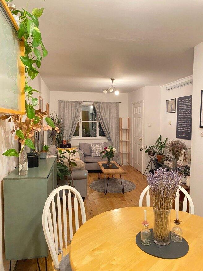 alpine-grove-e9-7sx-983399