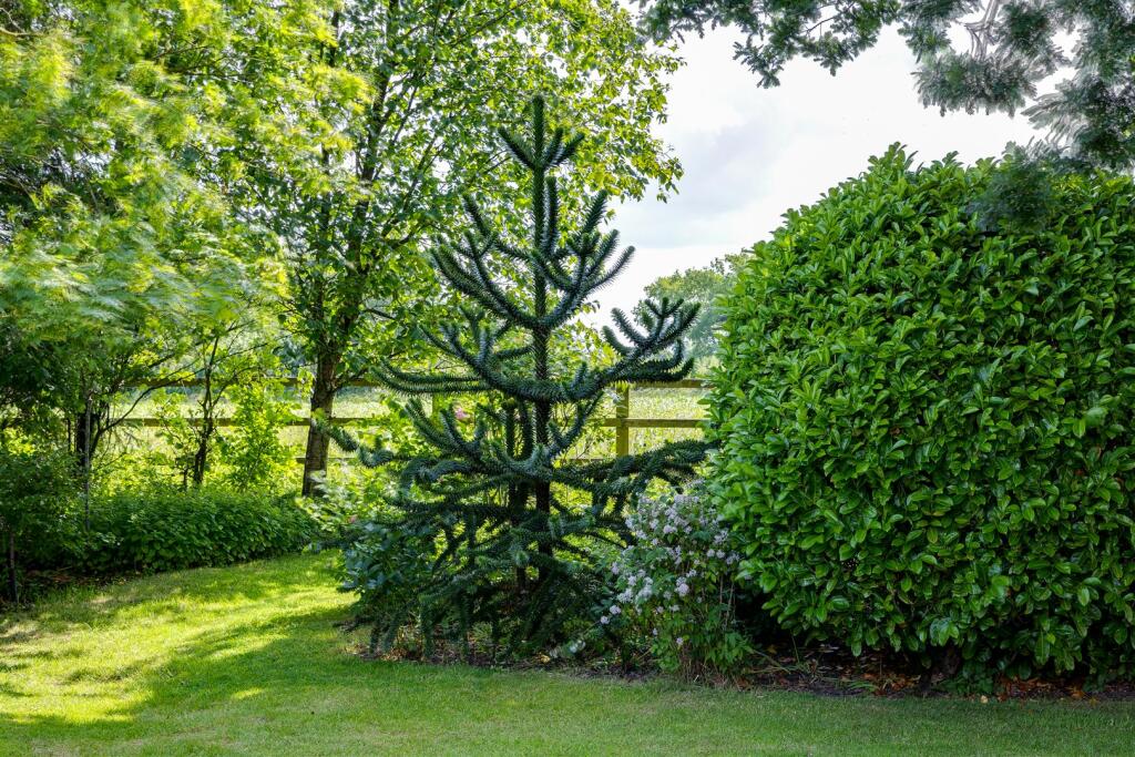 4J6A2115HDRGolborneManor.Highres.jpg