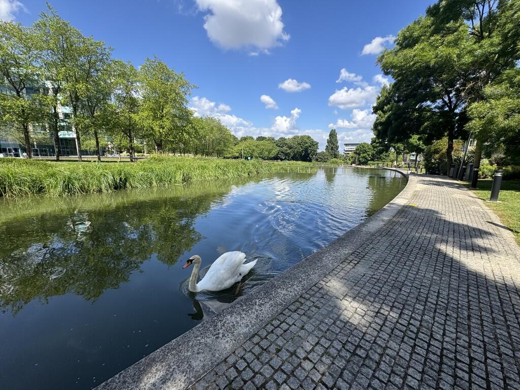 IMG_3517