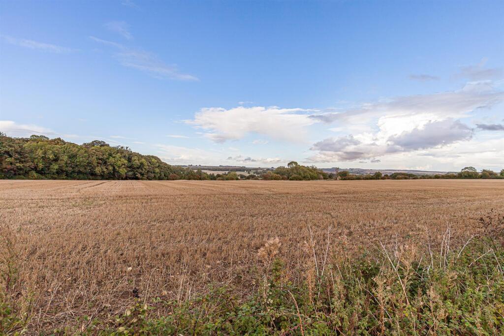 View - Adjacent Fields.jpg