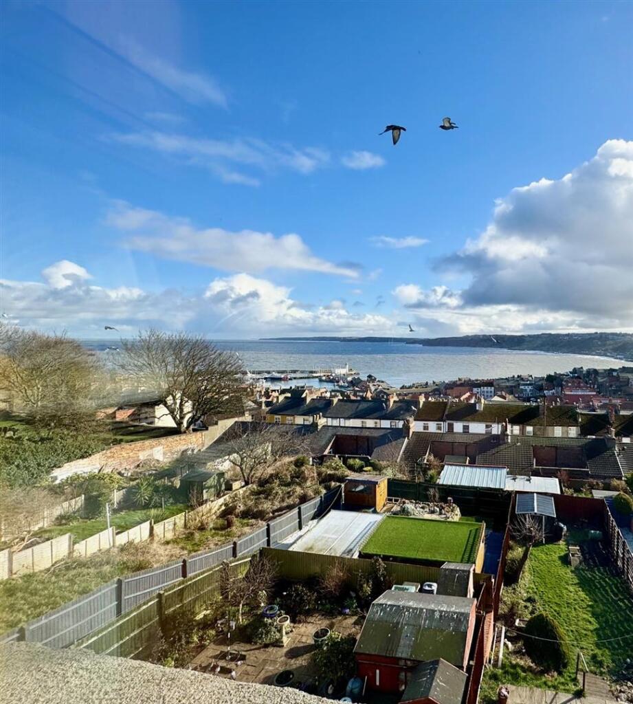 View from Kitchen.jpg