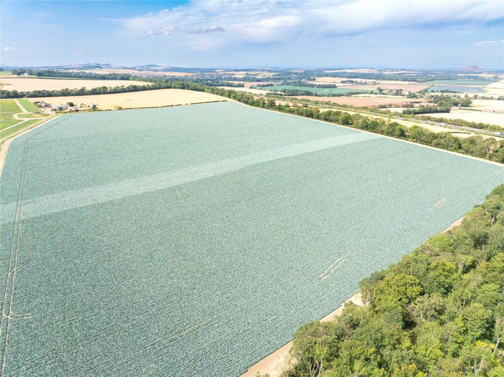 Lot 1 - Field 4