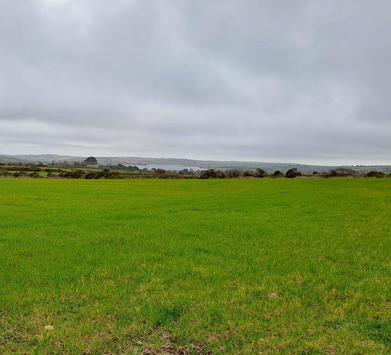 land