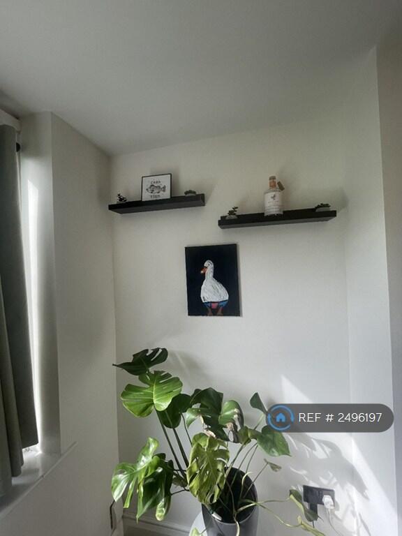 Living Room View