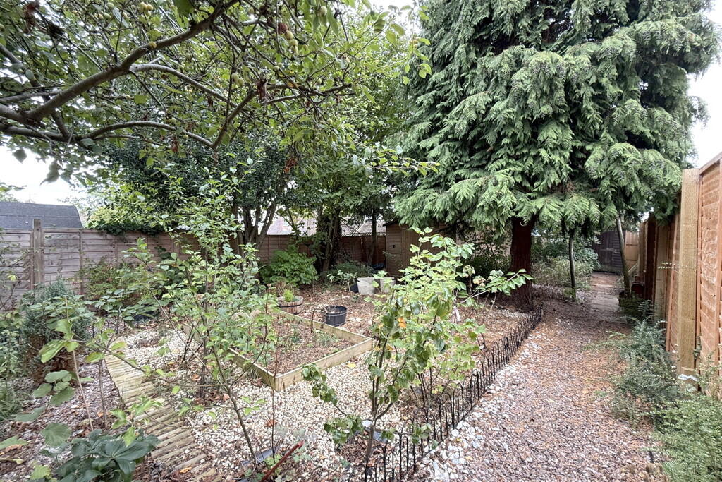 garden