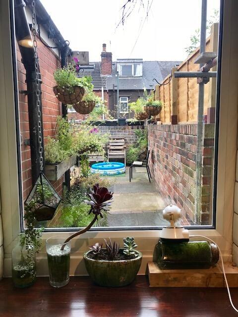 A charming and well-kept garden area featuring ...