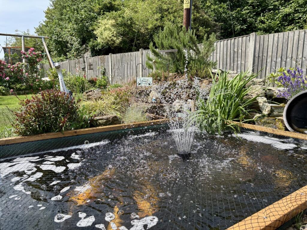 Pond