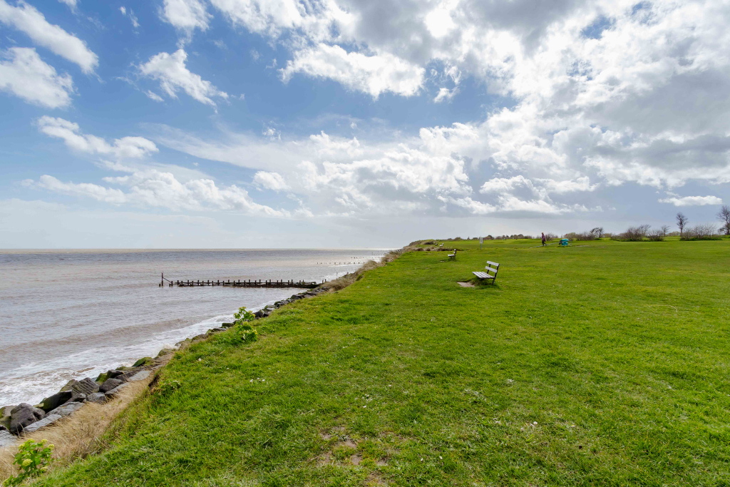 Local Beach