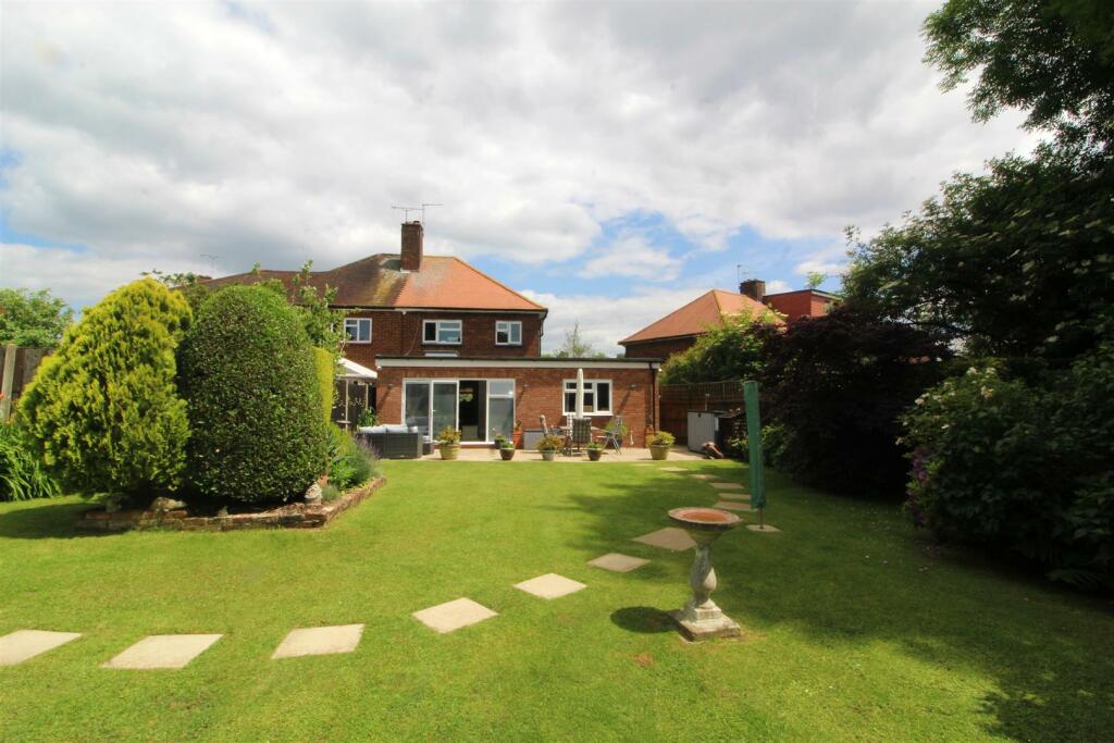 garden 2.jpg