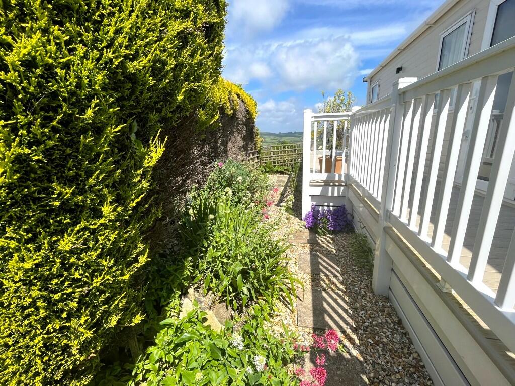 Side garden area