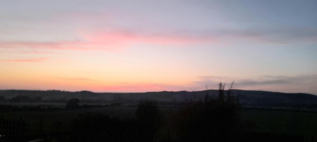 20250309_183116.jpg