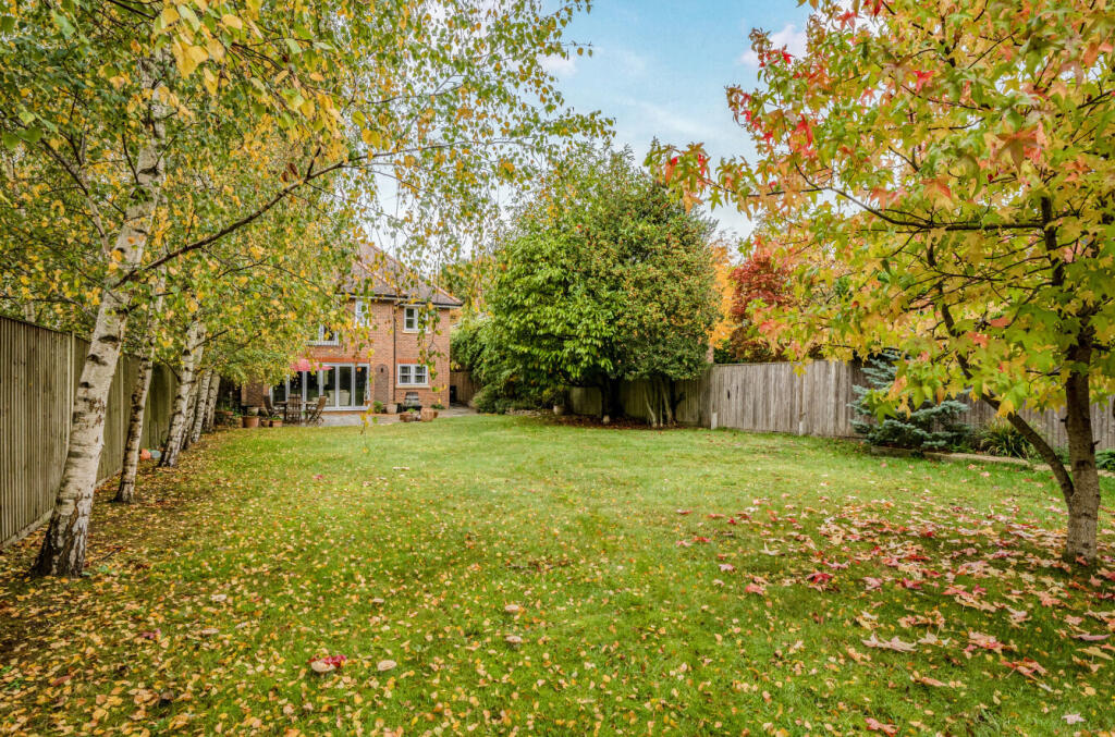 1365747-4-68ecbf7...