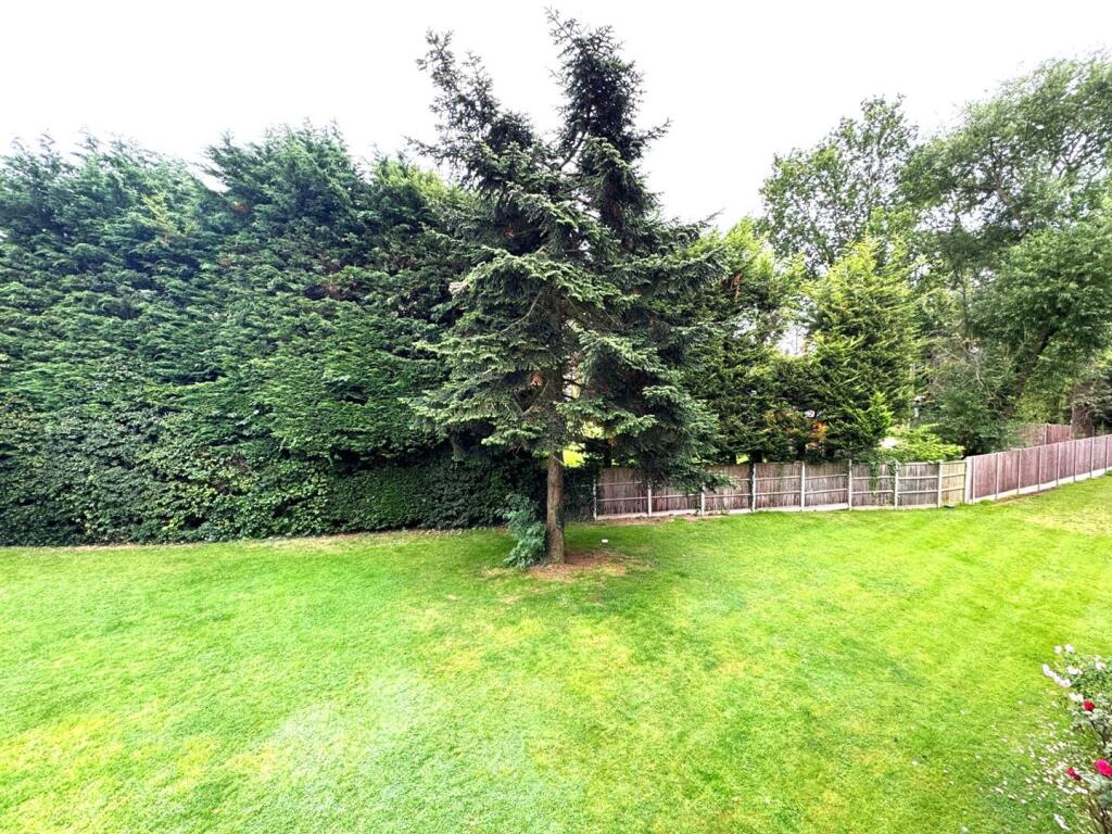 Garden.jpg