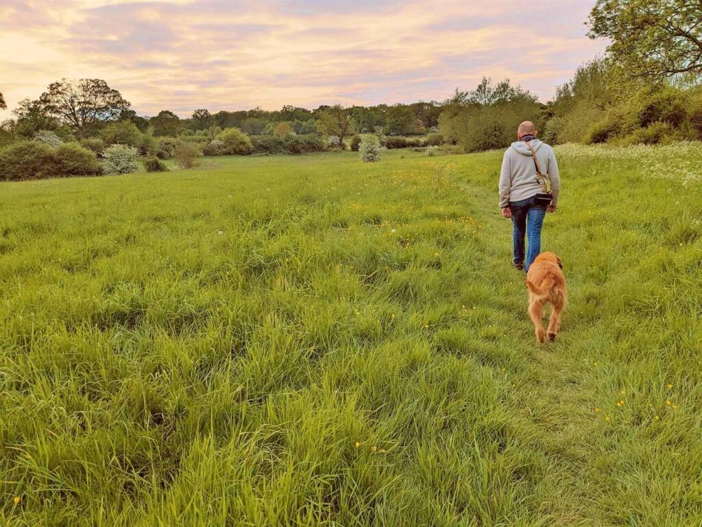 Country walk.jpg