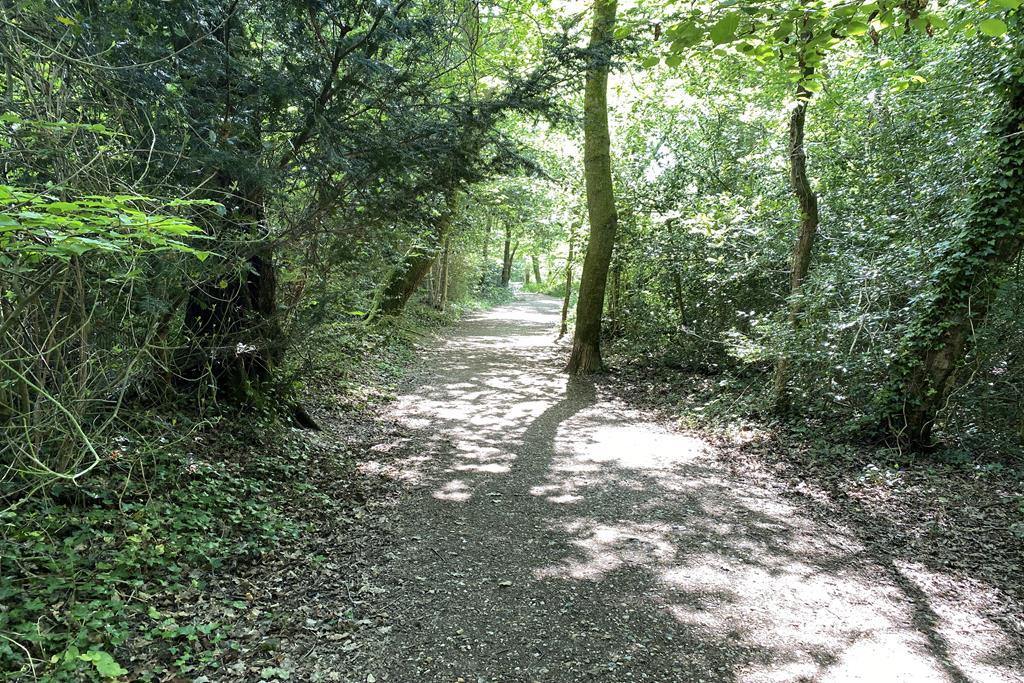 Wooded walks