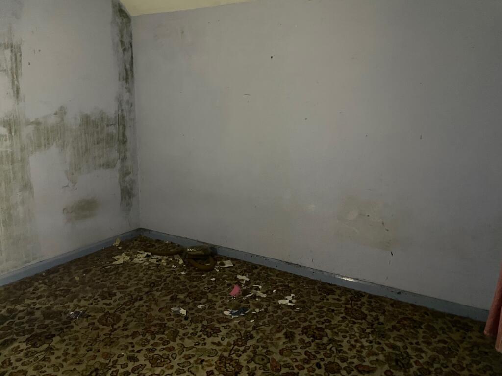 M T202502181633.jpg