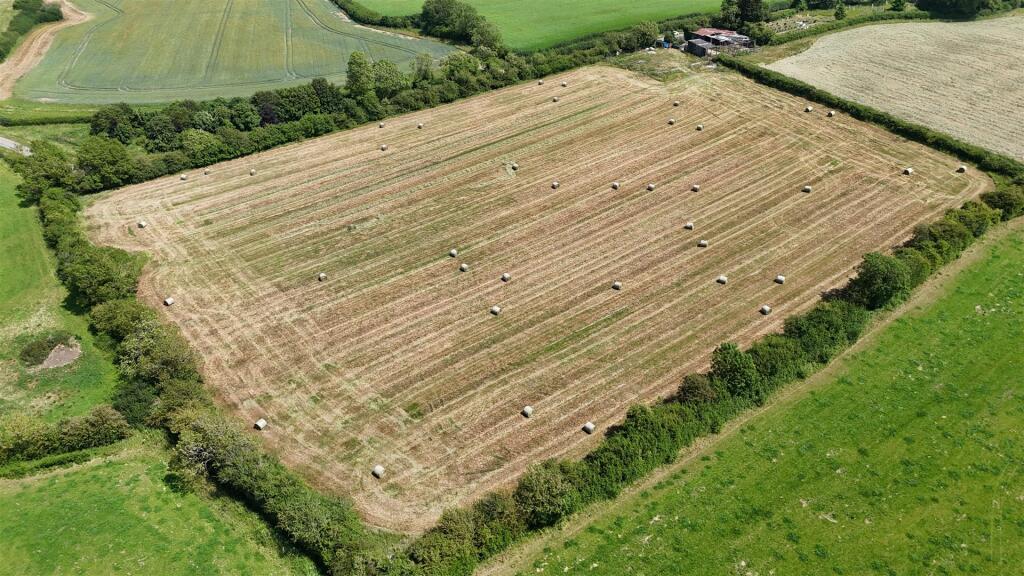 DJI_20250220190134_0788_D.JPG